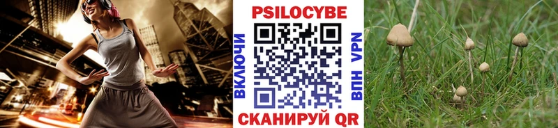 Галлюциногенные грибы мухоморы  Пугачёв 