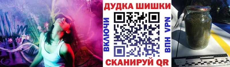 Бошки Шишки ГИДРОПОН Пугачёв